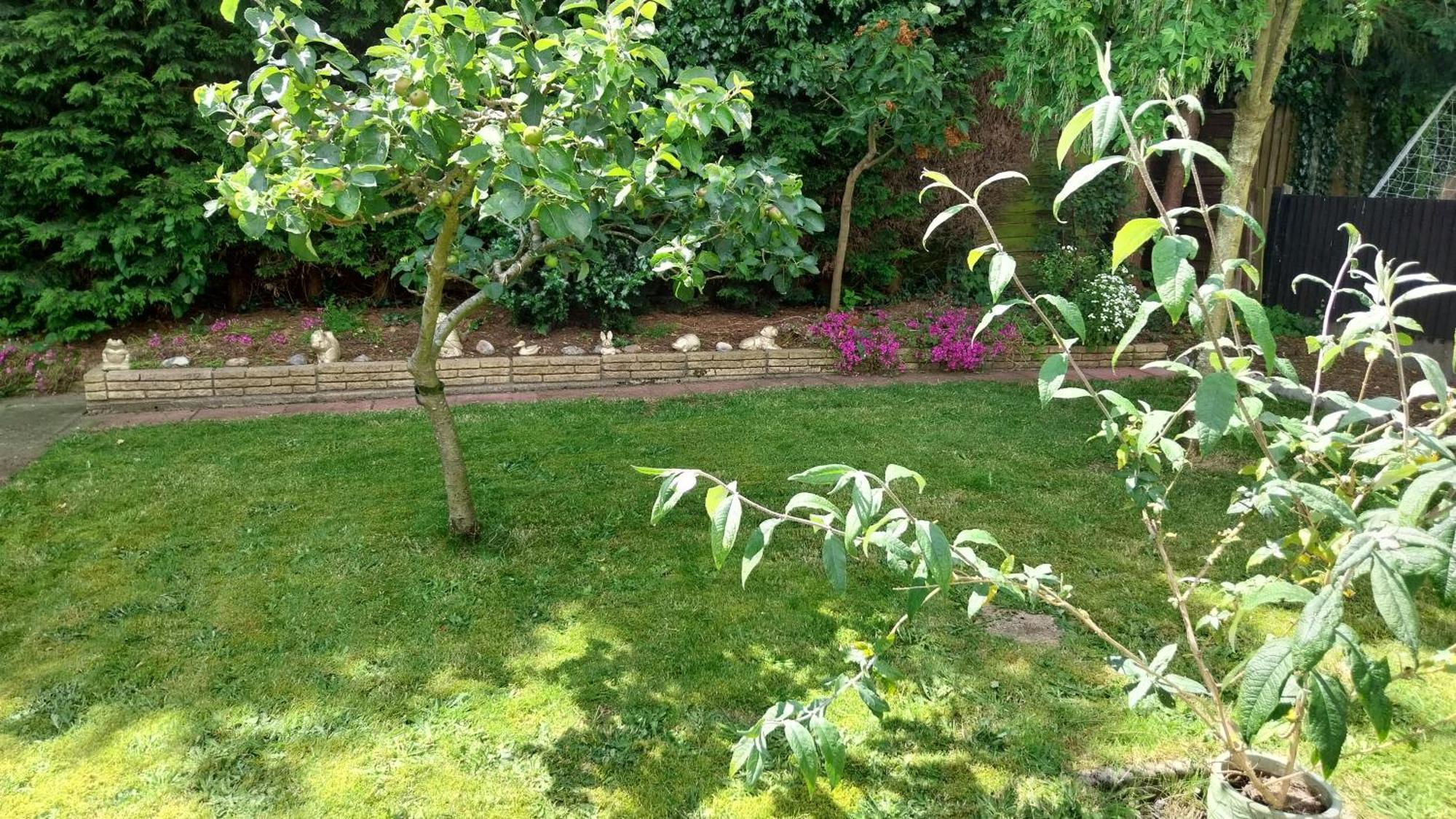 Beautiful 3-Bed Bungalow Kessingland Rural Retreat Lowestoft Kültér fotó
